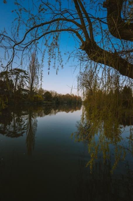 Le Chalet Du Bout Du Monde, En Bord De Riviere ! Grez-sur-Loing Εξωτερικό φωτογραφία